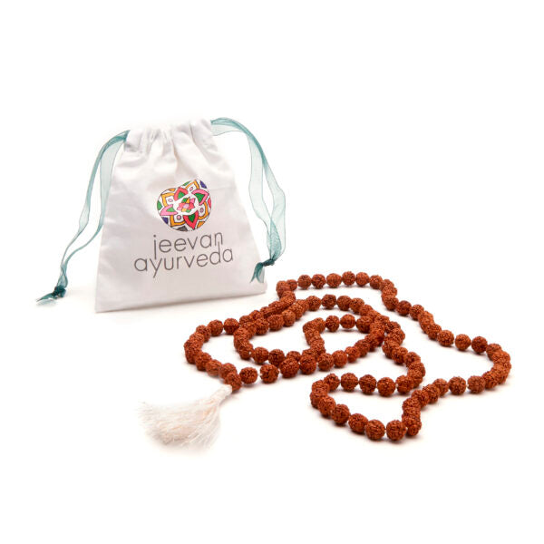 Rudraksha Mala 108+1 Seeds